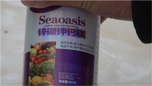 新买的新型肥料,看看有何作用,效果如何