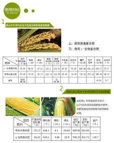 纳丰源 γ 生物增效因子 新型肥料增效剂 缓释肥料增效剂 高科技生物制品