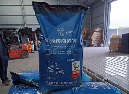 年收超3200万,80后的她原来是这样跨界生财的