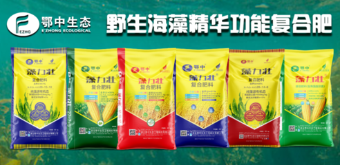 海藻酸复合肥为何受欢迎 新型肥料增效剂的优势与应用