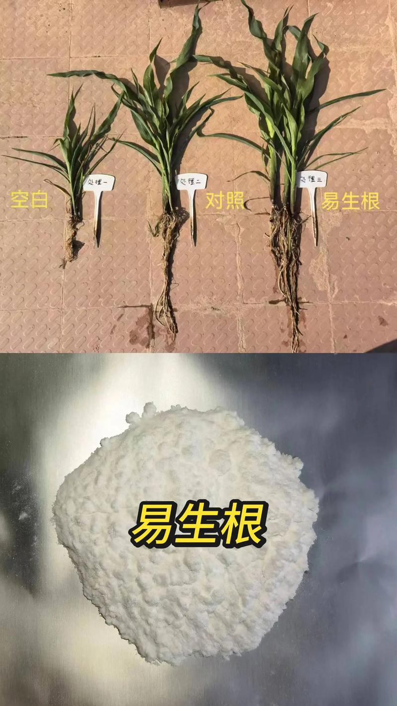 肥料增效剂的缘起 点赞背后的时代之声
