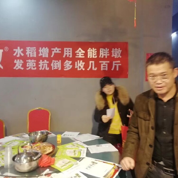 稻立丰 扬州胖墩水稻柯杈肥的创新增效之路